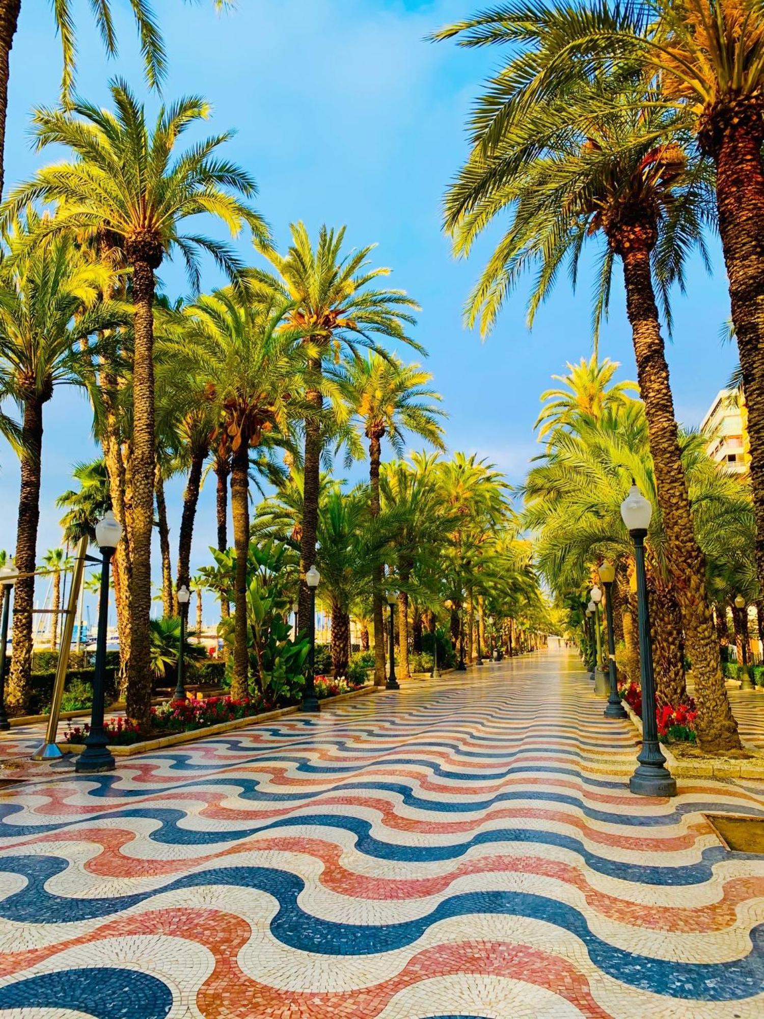 Casas 349H Alicante City Centre Trafalgar Dış mekan fotoğraf